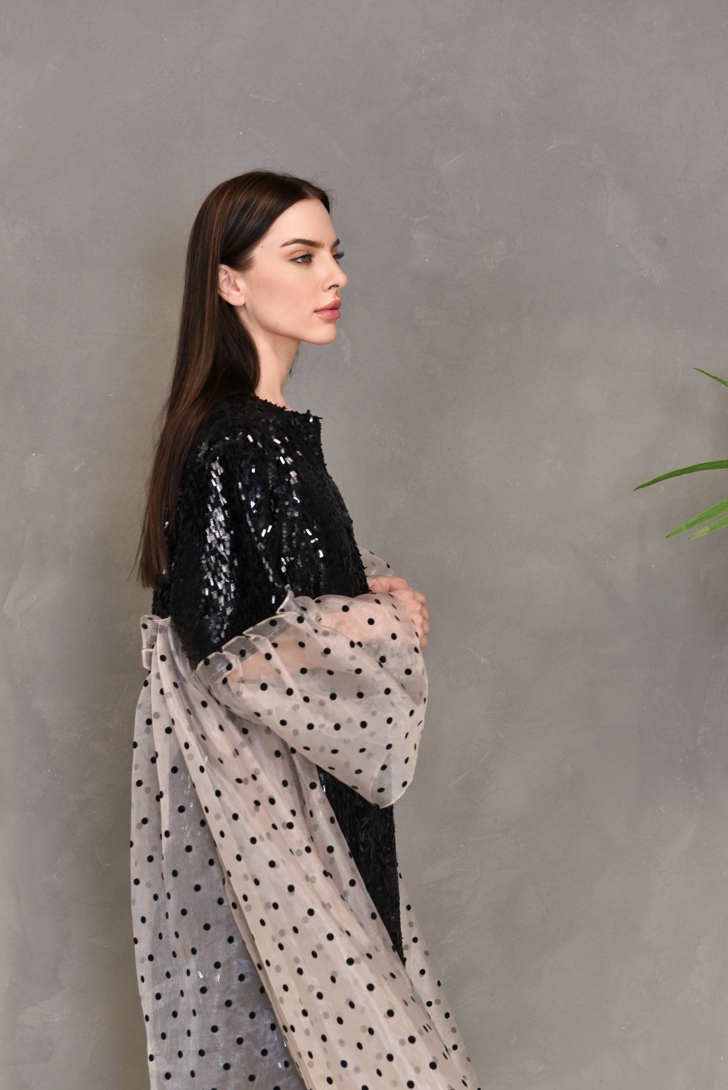 Organza sequence embroidery kaftan dress
